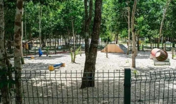 Apartamento Casa Tortuga