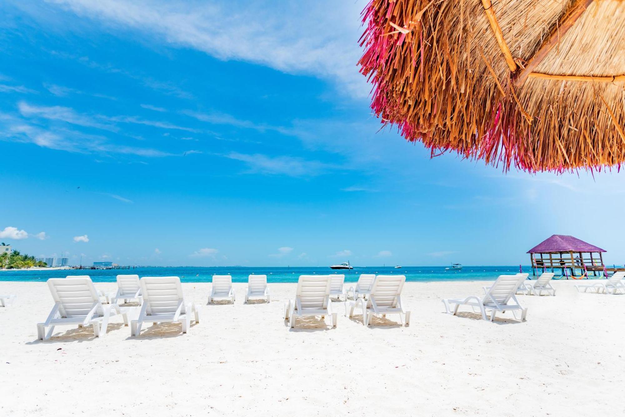 Oasis Palm 4*