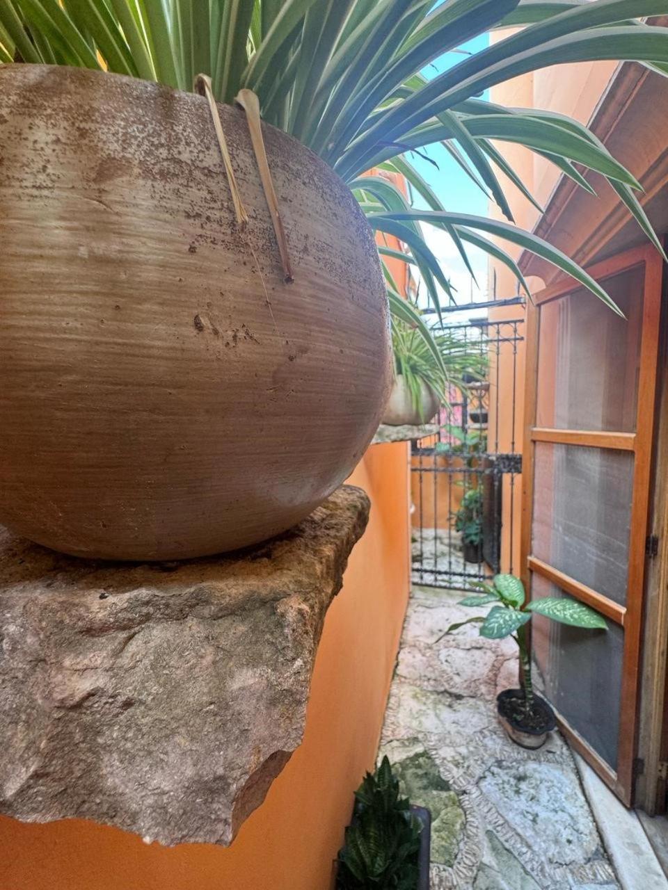Casa Mallorca Hotel 2*