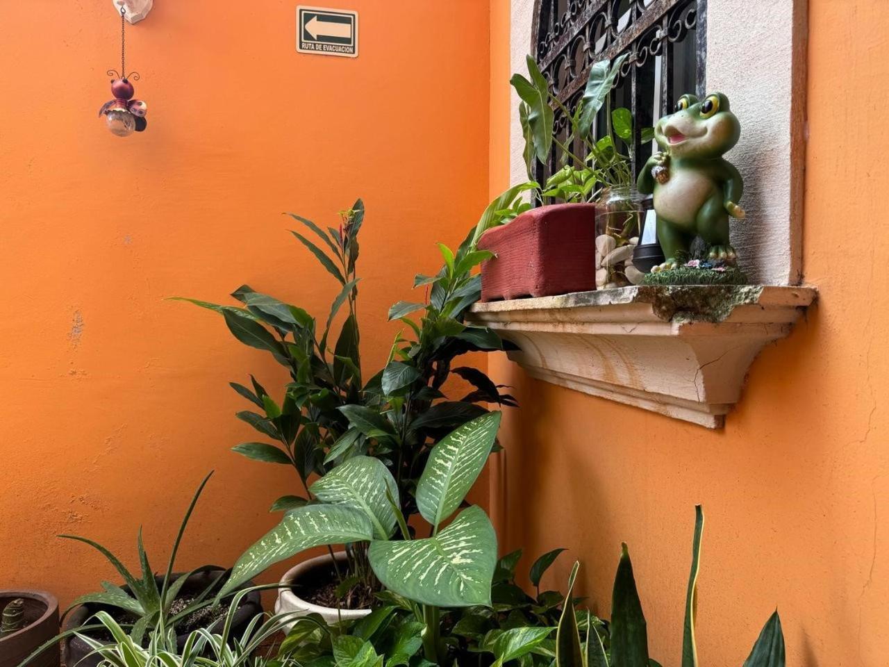 Hotel Casa Mallorca Cancún