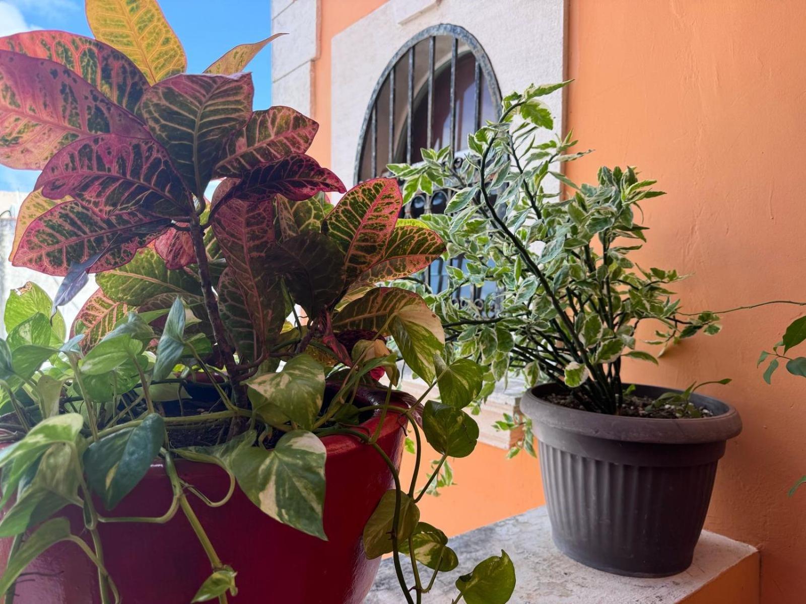 Casa Mallorca 2*