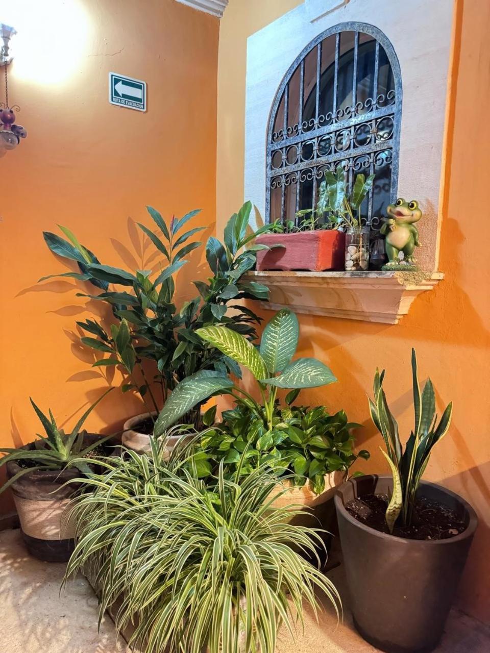 Casa Mallorca Hotel Cancún