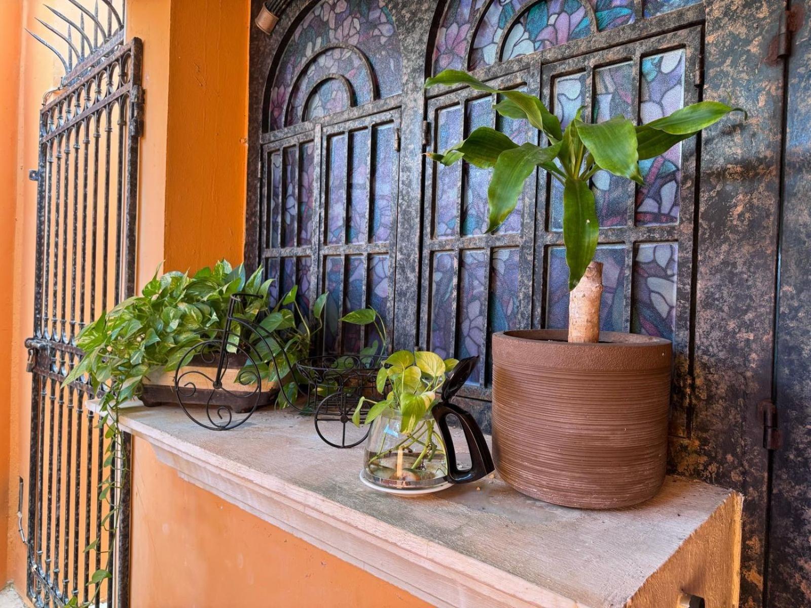 Casa Mallorca
