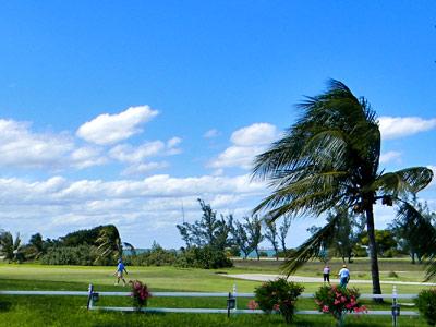 Gaviotas & 3* Cancun