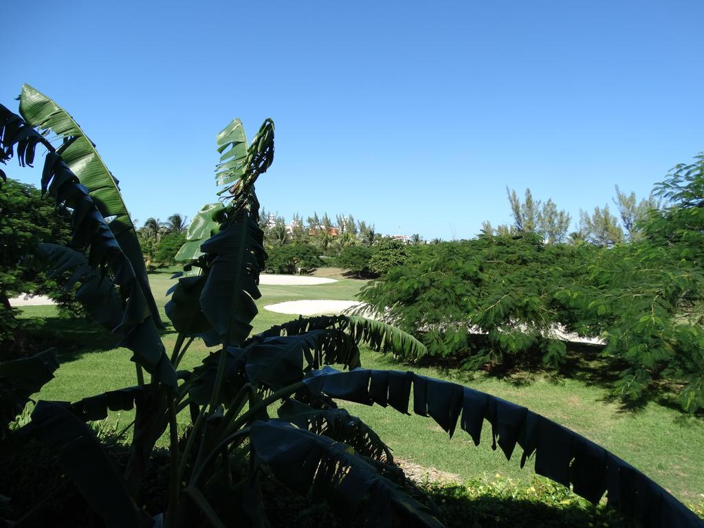 Apartamento Mare Studio By Andiani Travel Cancún