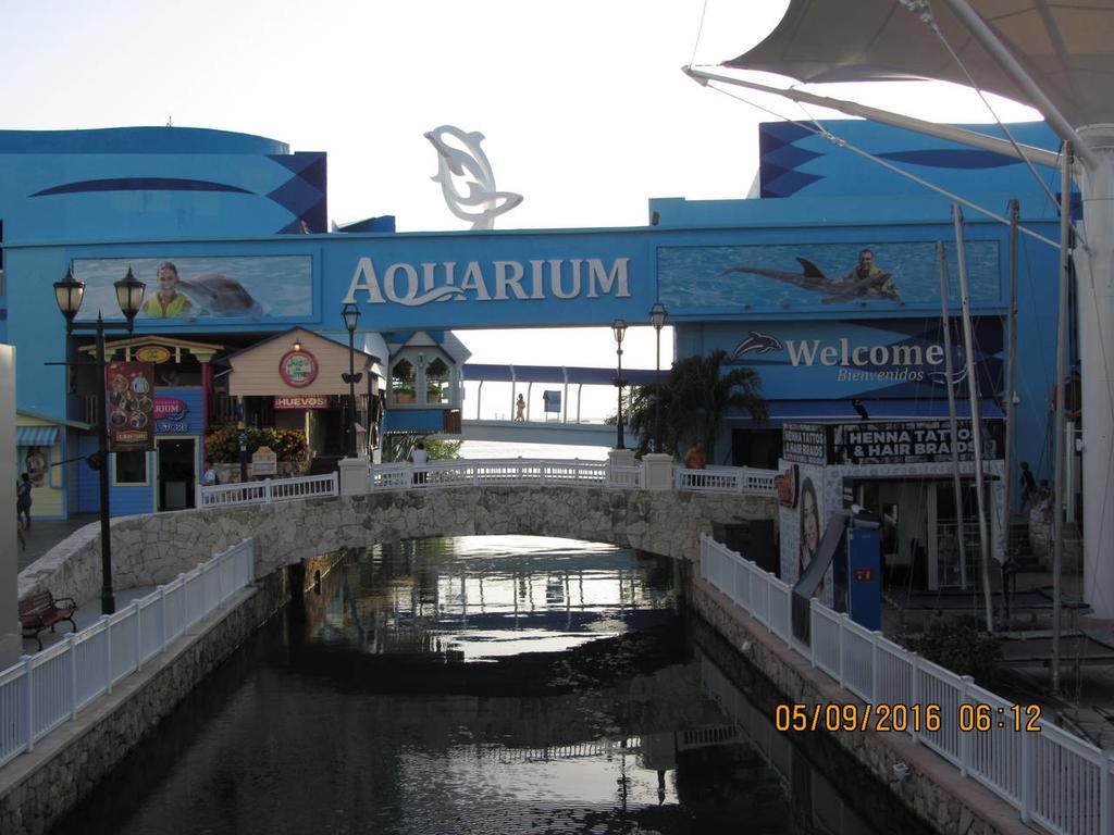 Pez Vela * Cancún