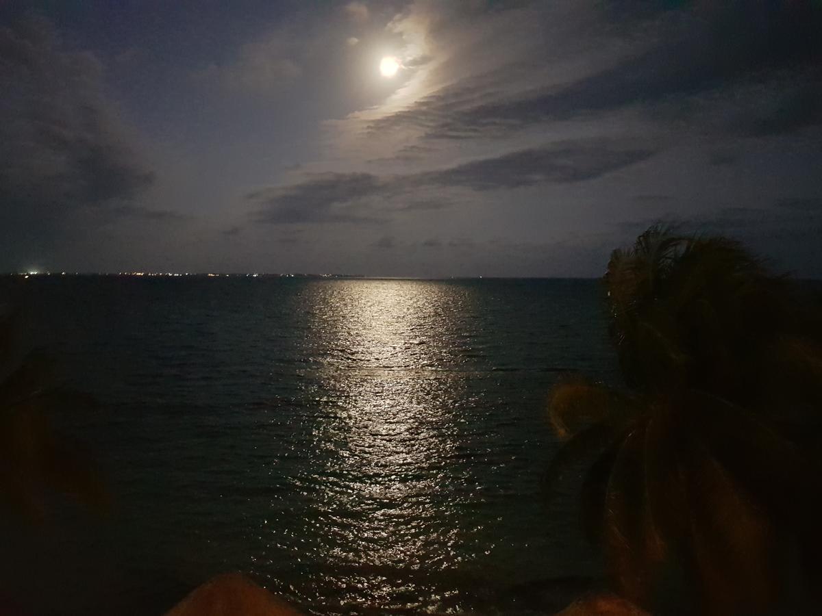 Frente Al Mar Apartamento *