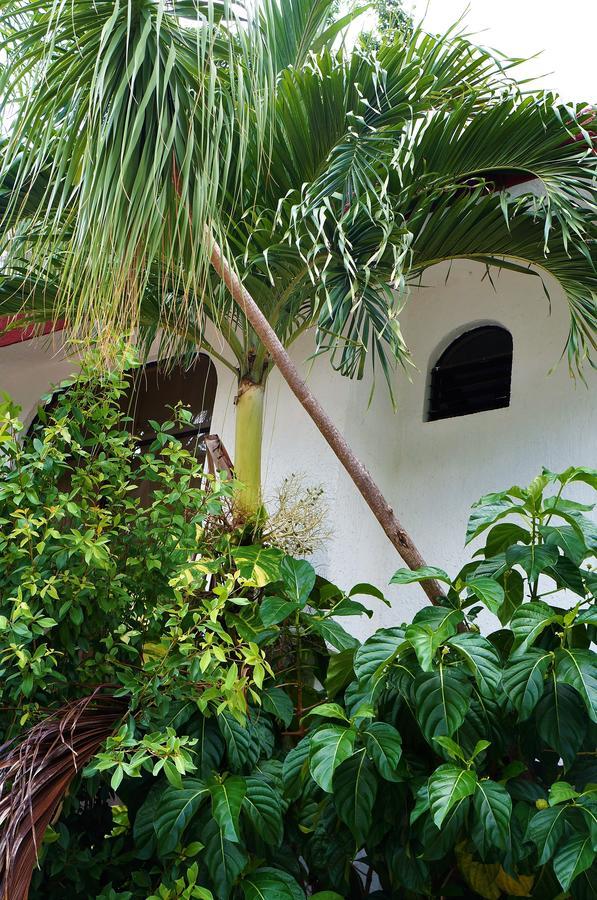 Habitación en casa particular Lava House