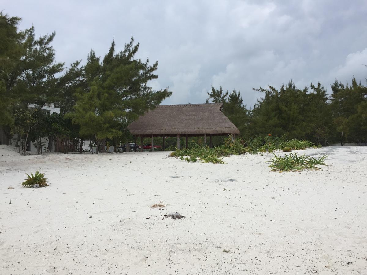 Apartment Sea By C (adults Only) Cancun