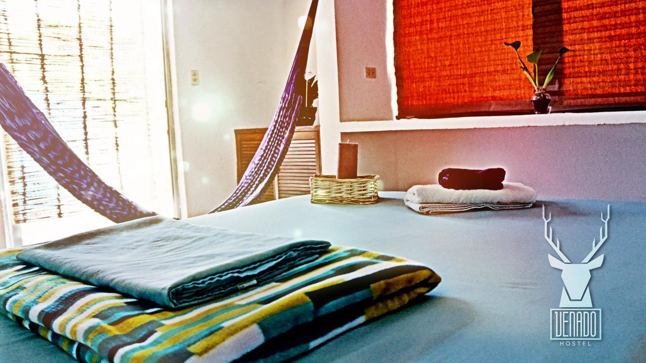 Venado Pensión Cancún