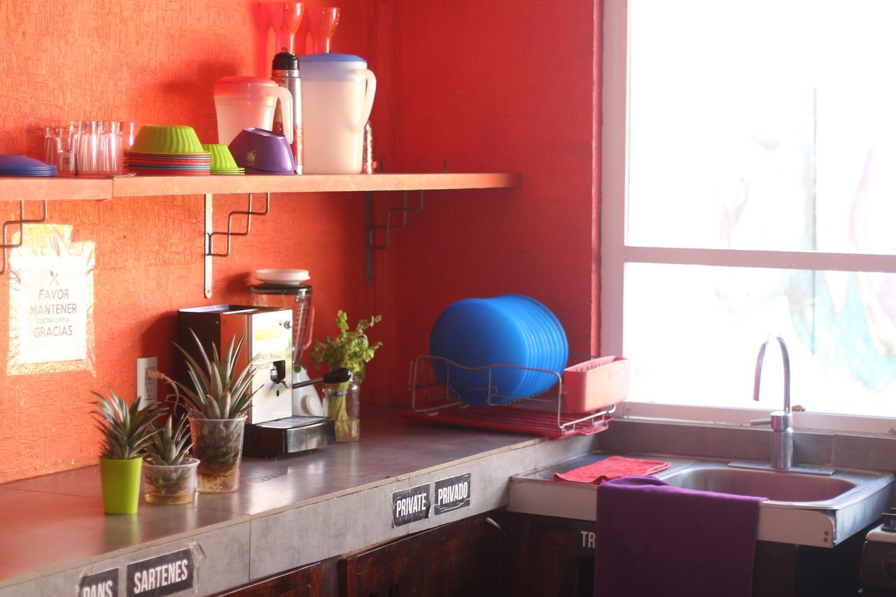 Orquideas Hostal