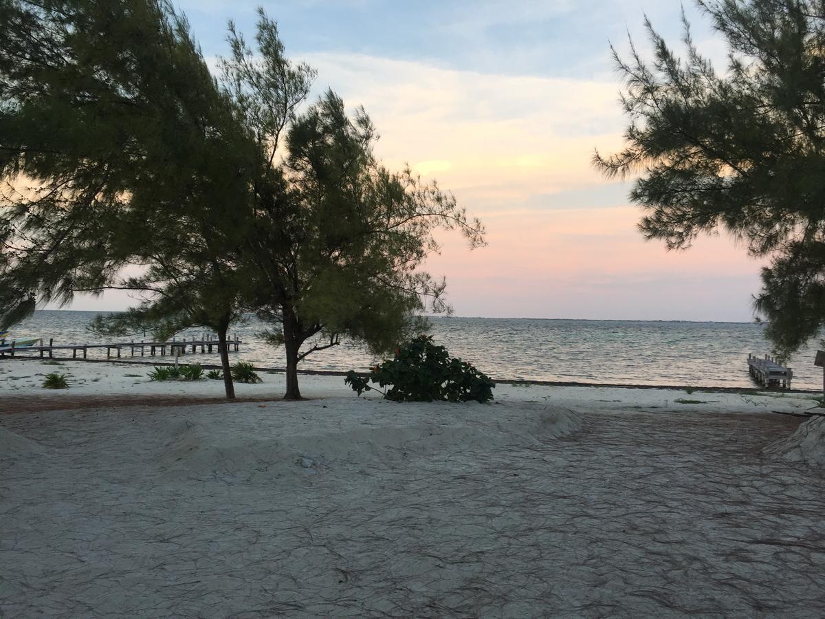 Sea By C (adults Only) Apartment *