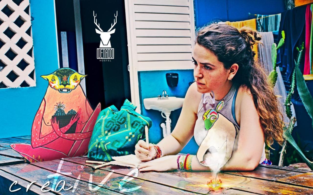 Venado Pensión Cancún
