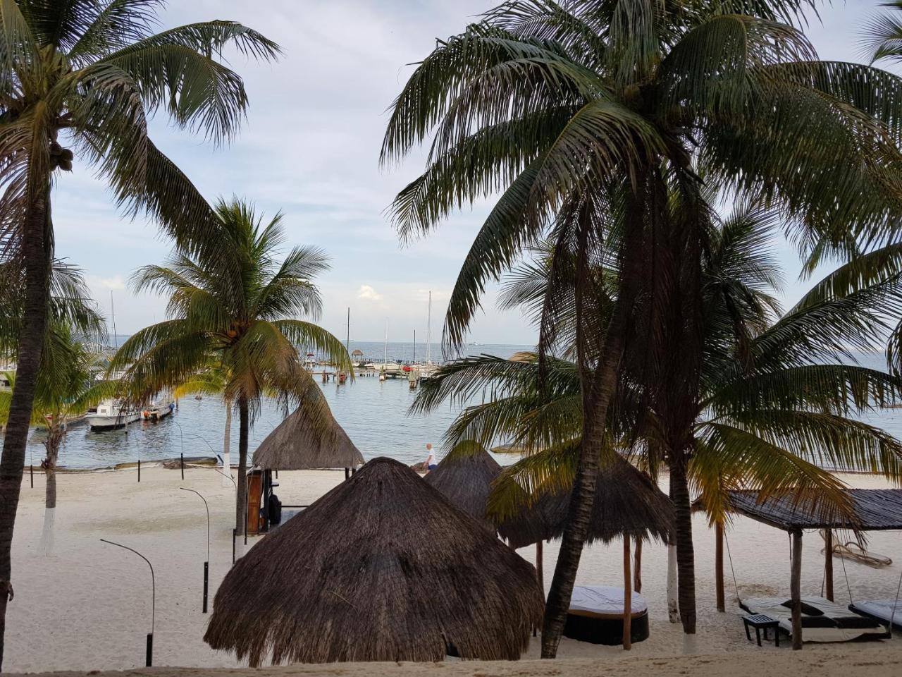 Frente Al Mar *