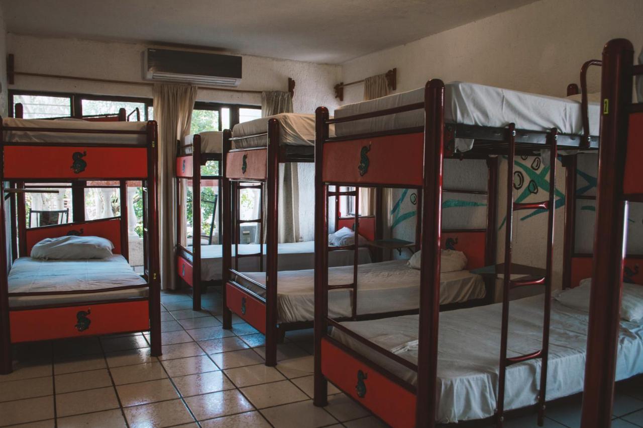Guest house Kukulcan & Friends 2*