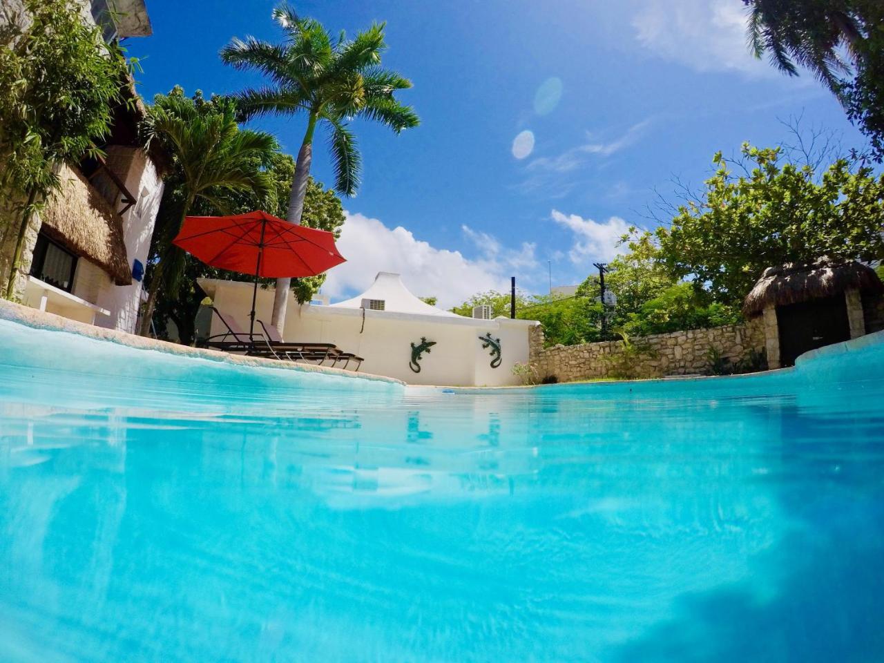 Pensión Mango Rooms