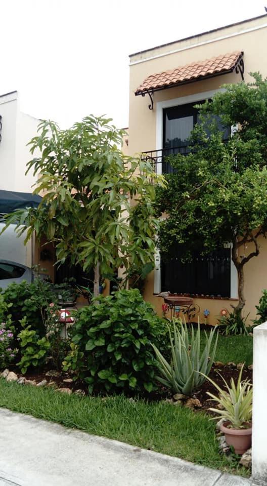 El Limónazo Habitación en casa particular Cancún