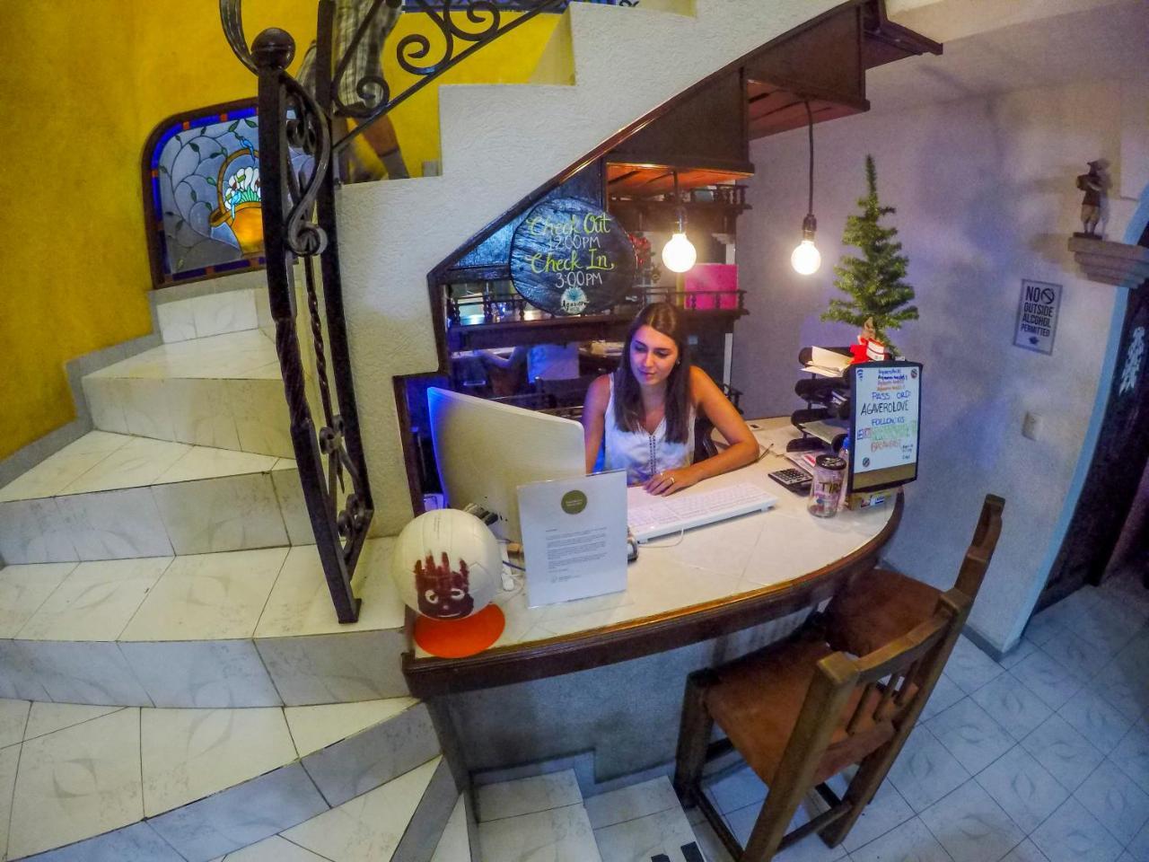 Agavero * Cancún