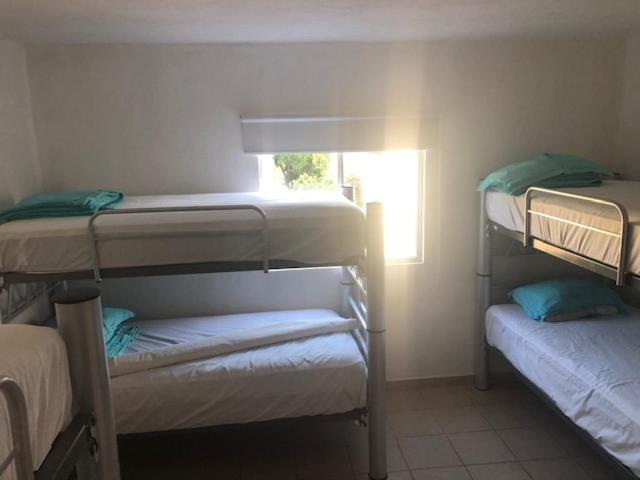 Pensión Casa Habitacional Laurel