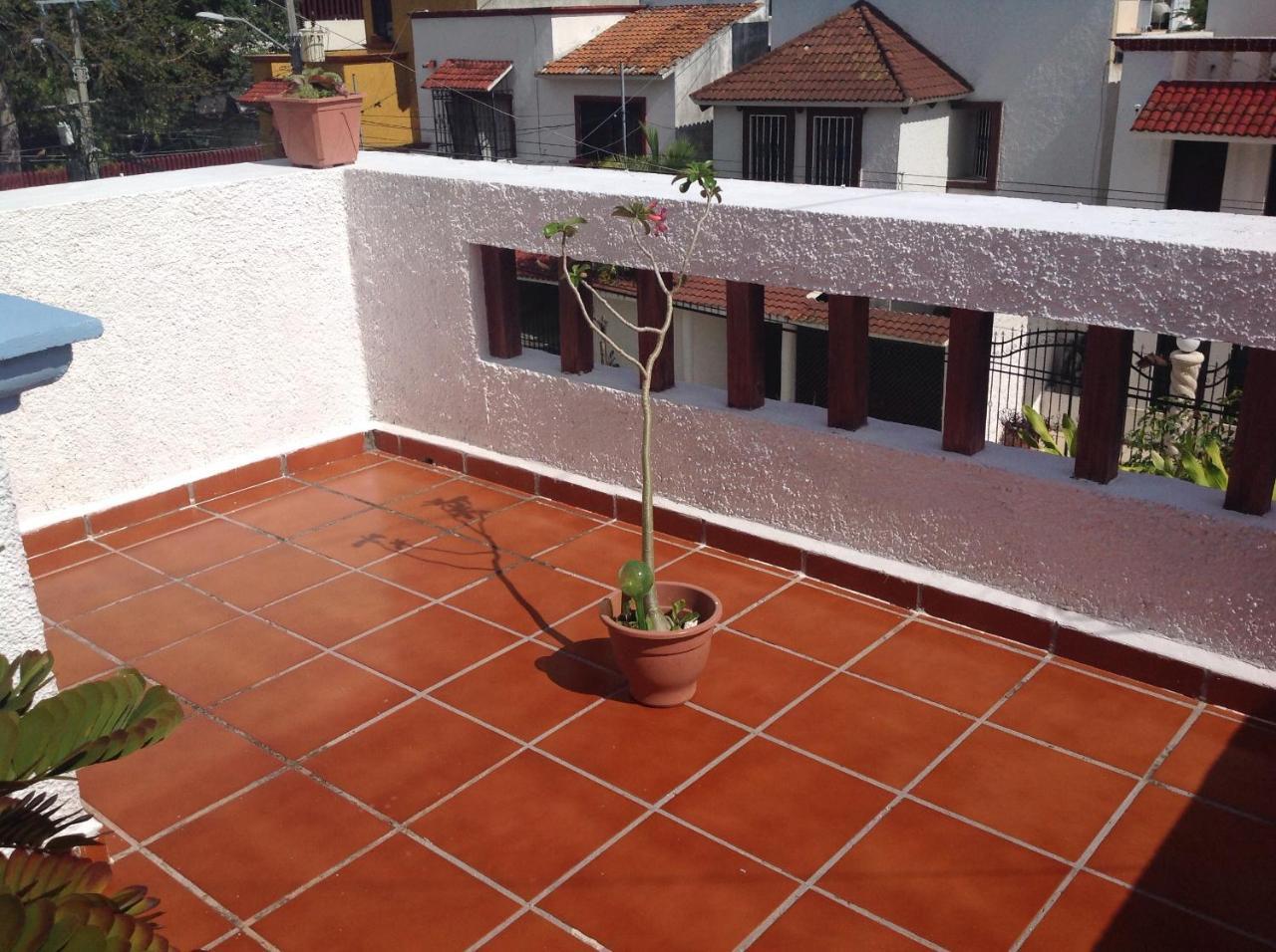 Mariposas * Cancún