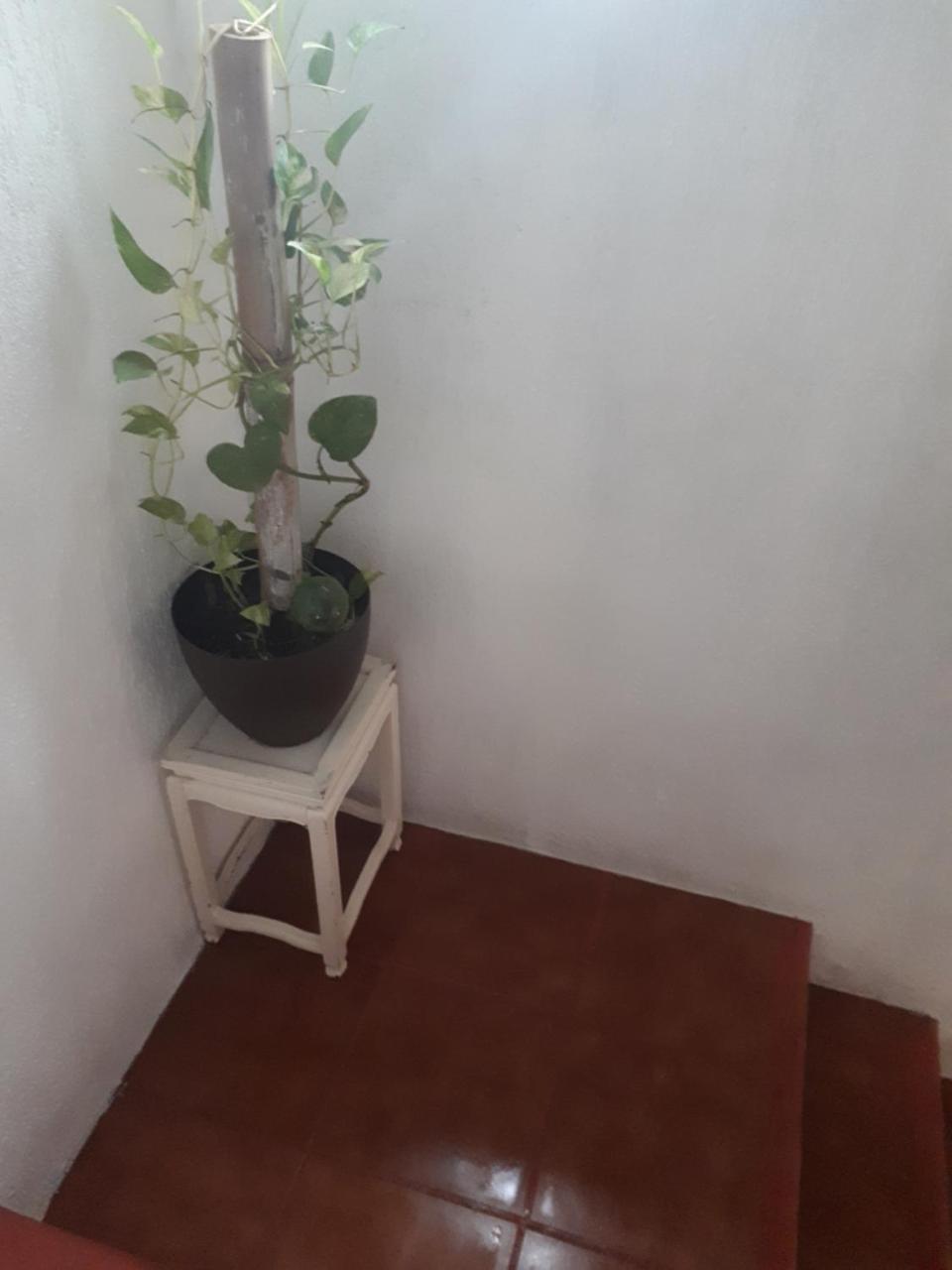 Habitación en casa particular Mariposas Cancún