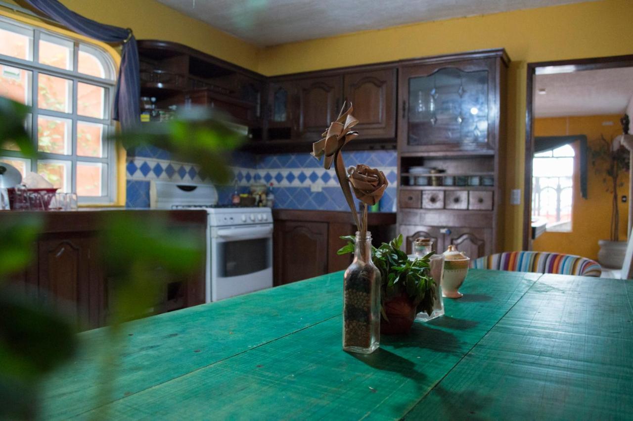 Agavero Hostal *