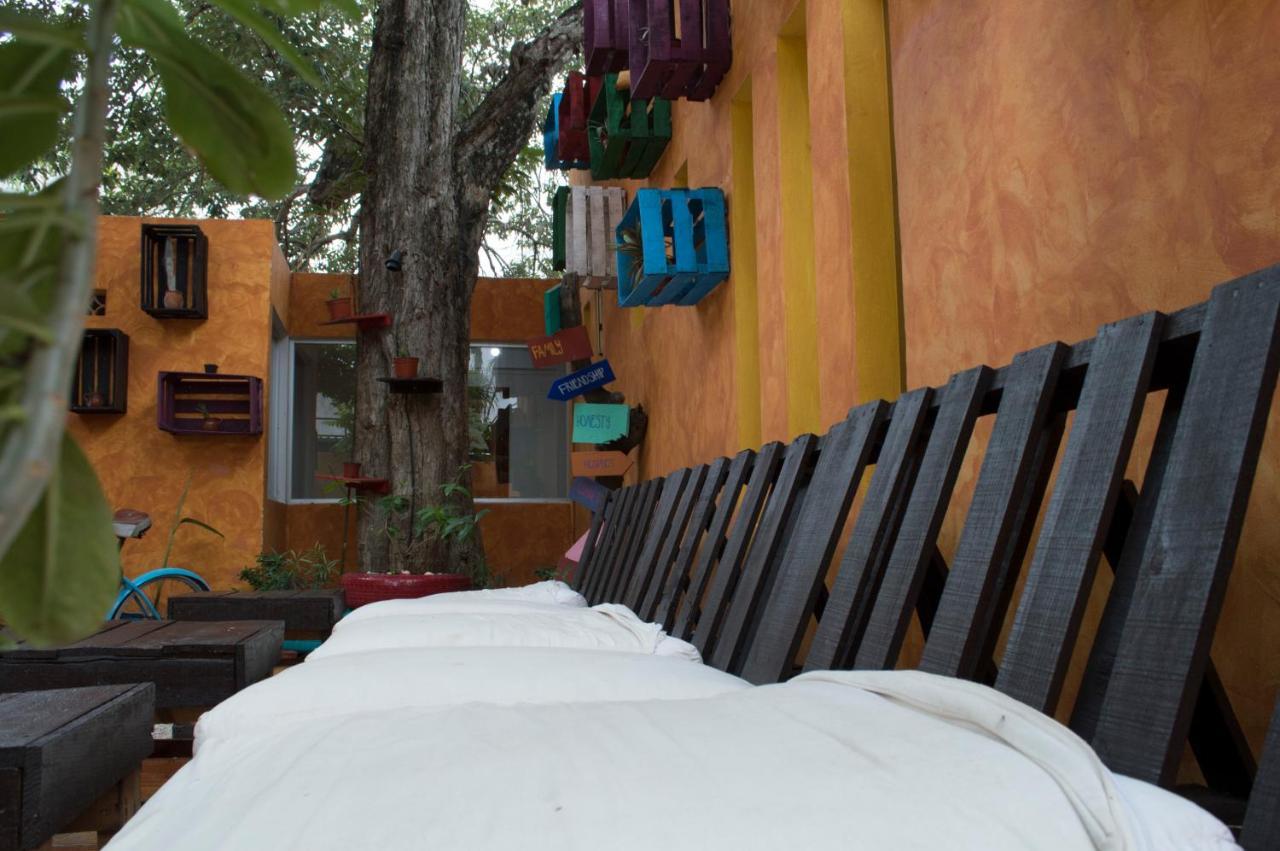 Agavero Hostal Cancún
