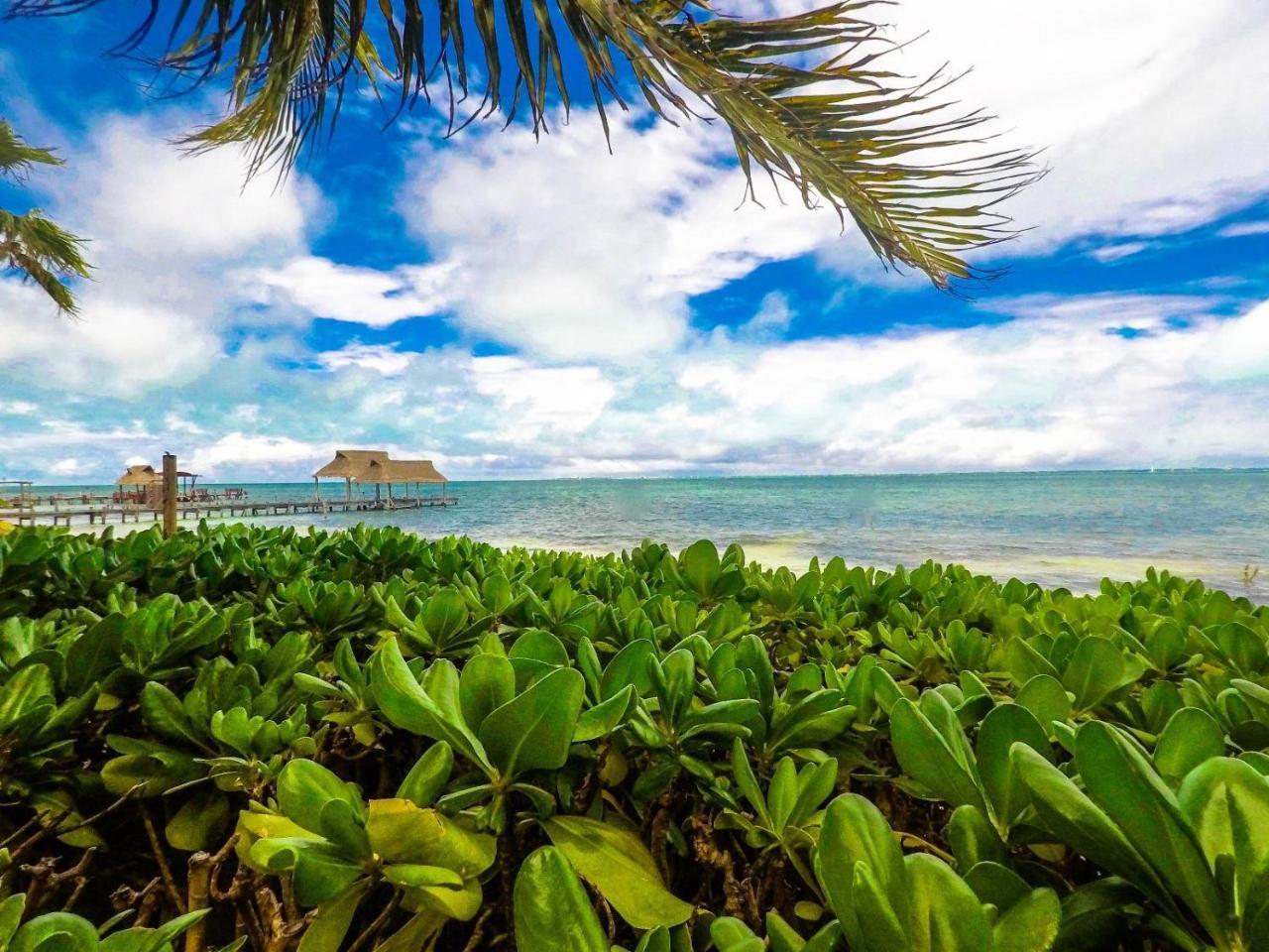 Pensión Punta Me Cancún