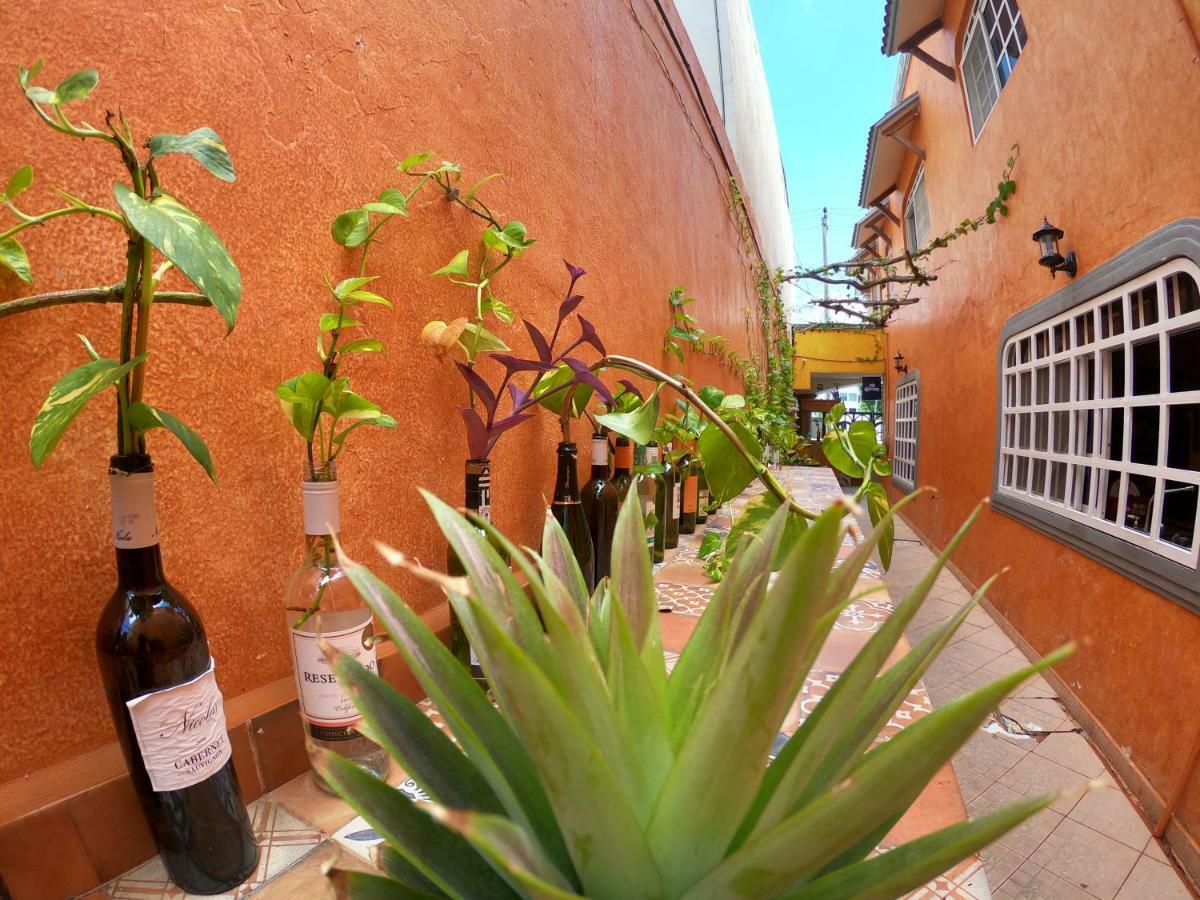 Agavero Hostal *