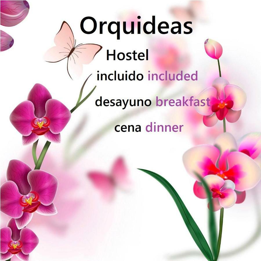 Orquideas Hostal