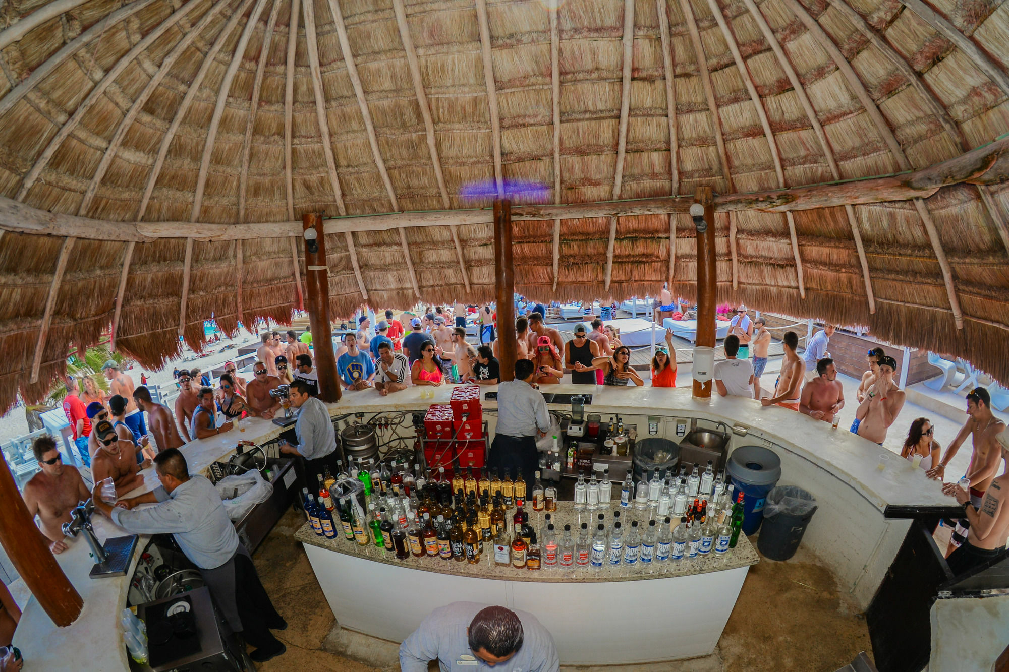 Resort Oasis Lite Cancún