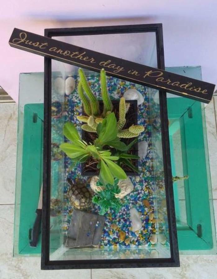 Villa Oasis Cancun Airport