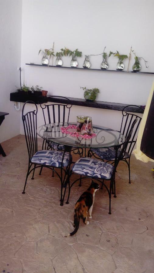 El Limónazo Habitación en casa particular