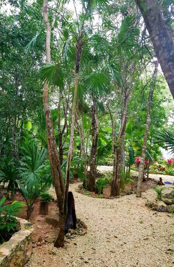 Pensión Casa De La Diosa - El Ramonal Cancún