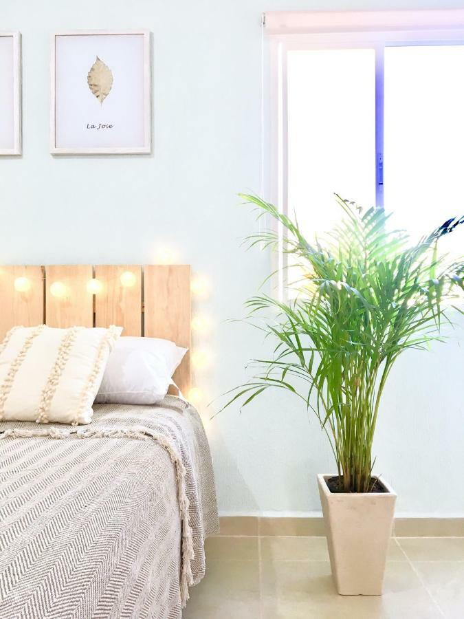 Apartment Caraibe Mexicain B2 *