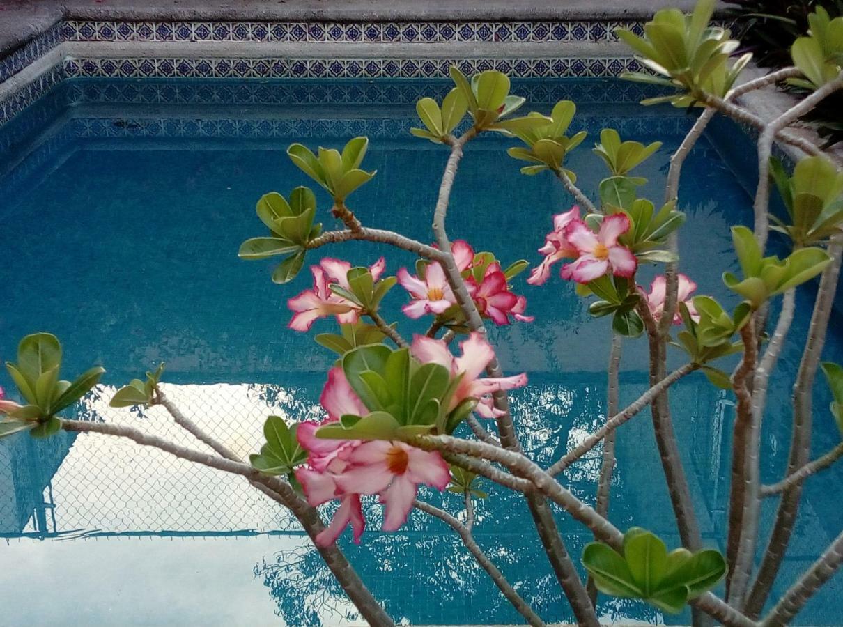 Cielito Lindo Bed & Breakfast
