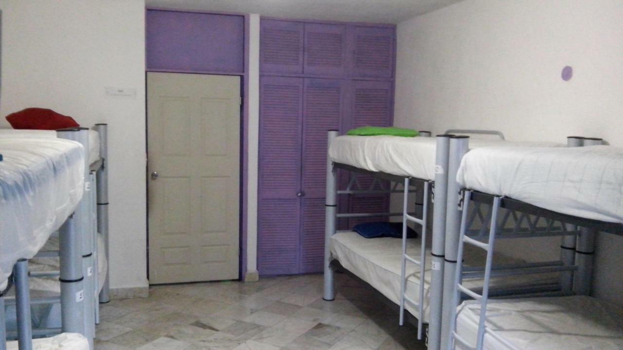 Orquideas Hostal