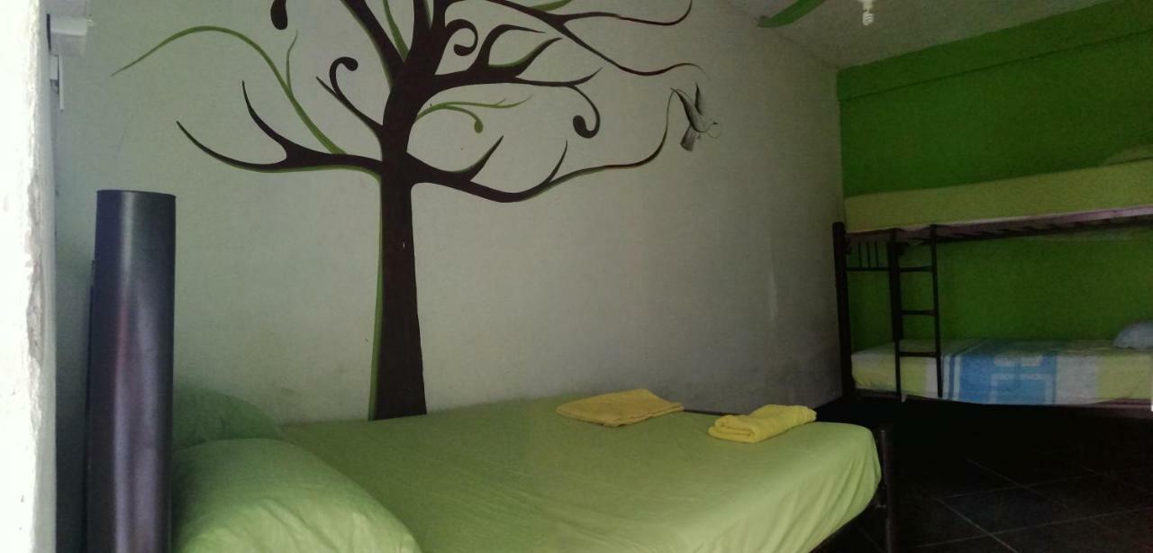 Hostal Orquideas Cancún