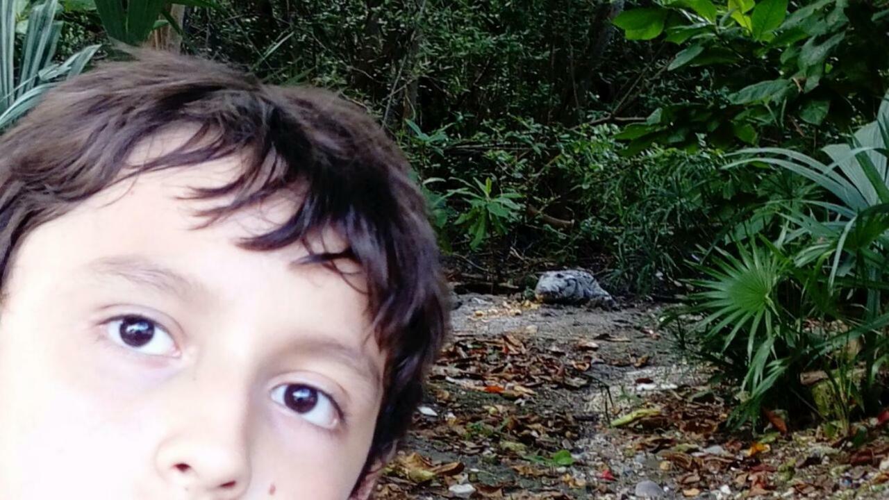 El Limónazo * Cancún