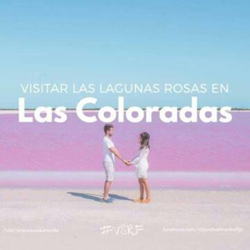 El Limónazo *
