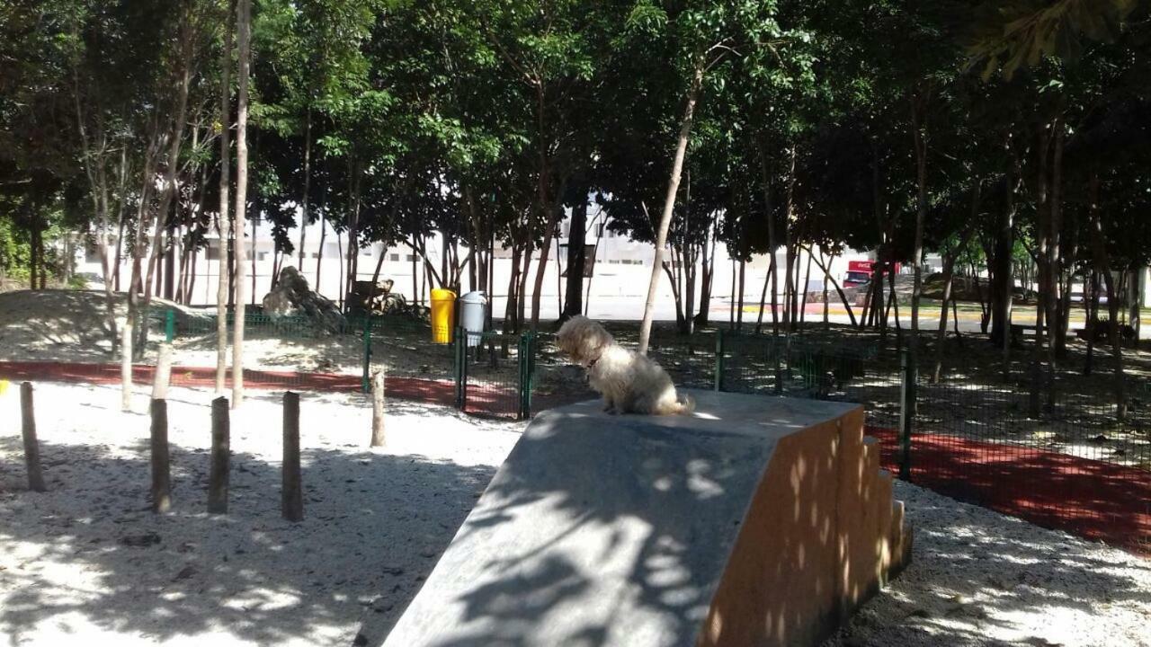 La Casa Del Cactus Сasa de vacaciones *