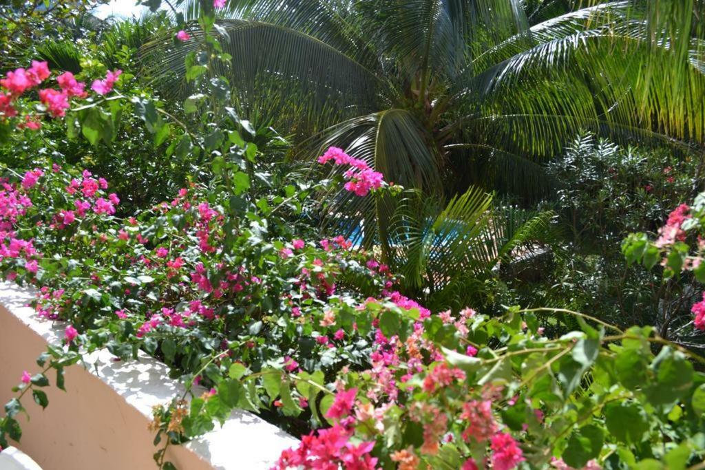 Apartamento Cocoa Beach - Free Access To The Beach