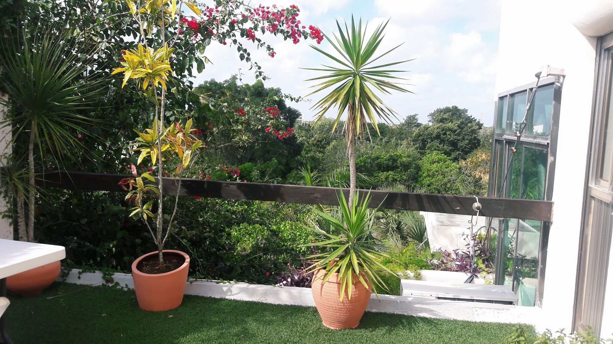 Casa La Selva Hotel Cancún
