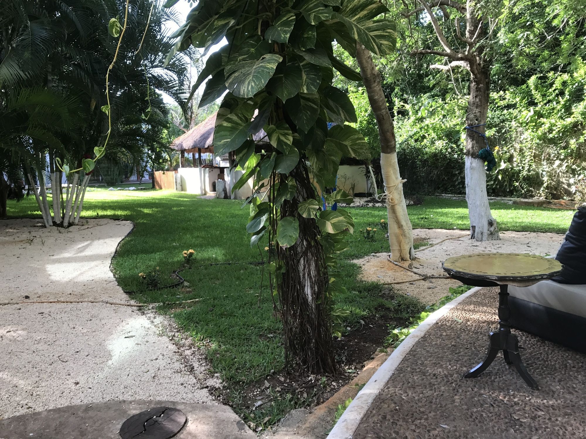 Casa La Selva 3* Cancún