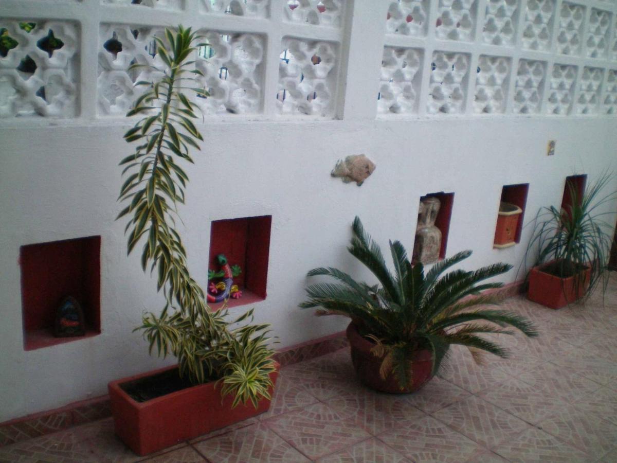 3 Near Ado Bus Terminal And 25 Min From/to Airport By Shuttle Pensión Cancún