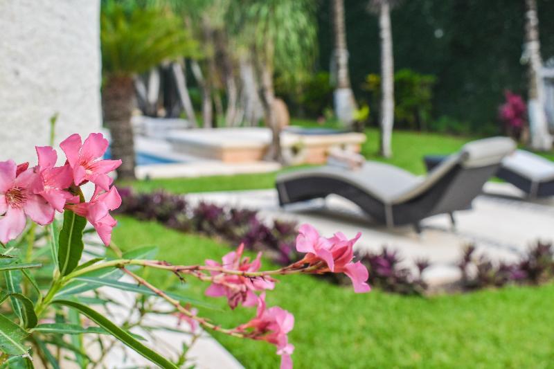 Palmeras Hotel 3*