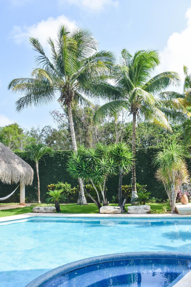 Palmeras 3* Cancún
