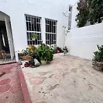 Plant & Paws 2