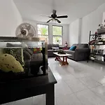 Plant & Paws 2