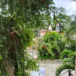 Rentas Palrey